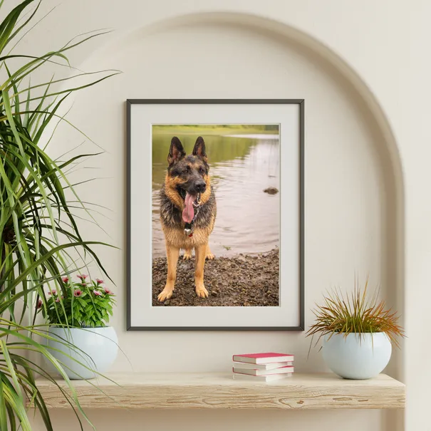 mockup of a dog on the wall of a house